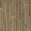 Chancellor Oak Series
